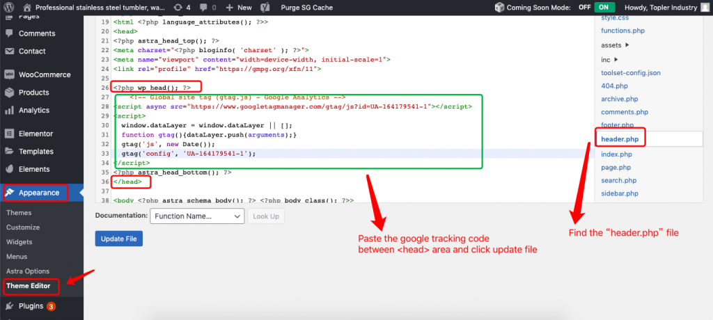 paste google tracking code.