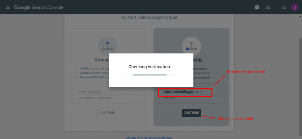fill in the website domain for verify